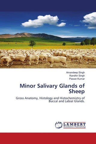 Minor Salivary Glands of Sheep