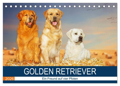 Golden Retriever - Ein Freund auf vier Pfoten (Tischkalender 2026 DIN A5 quer), CALVENDO Monatskalender