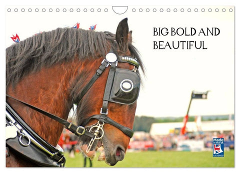 BIG BOLD AND BEAUTIFUL (Wall Calendar 2027 DIN A4 landscape), CALVENDO 12 Month Wall Calendar