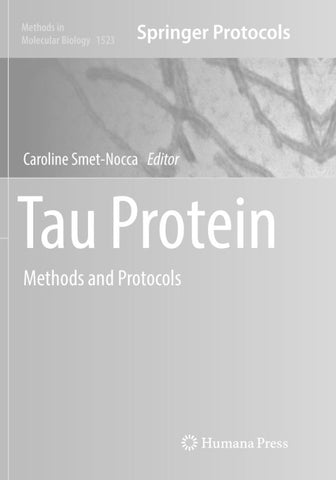 Tau Protein