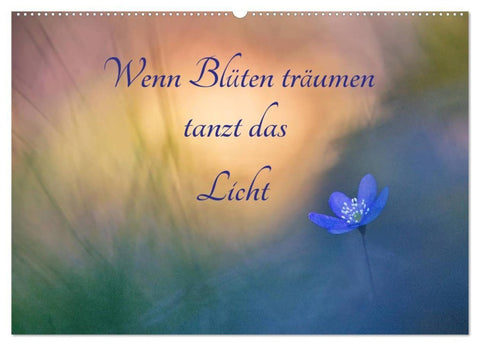 Wenn Blüten träumen tanzt das Licht (Wandkalender 2027 DIN A2 quer), CALVENDO Monatskalender