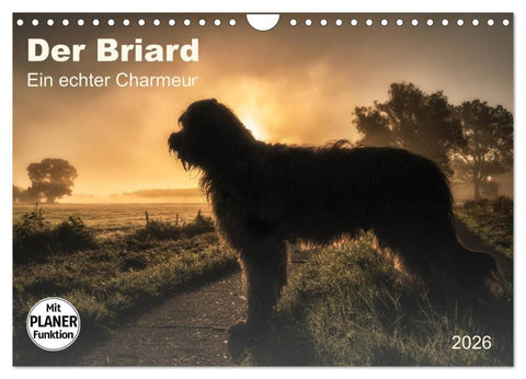 Der Briard 2026 - Ein echter Charmeur (Wandkalender 2026 DIN A4 quer), CALVENDO Monatskalender