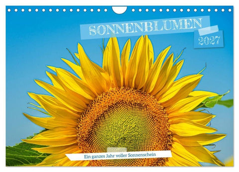 Sonnenblumen - ein ganzes Jahr voller Sonnenschein (Wandkalender 2027 DIN A4 quer), CALVENDO Monatskalender