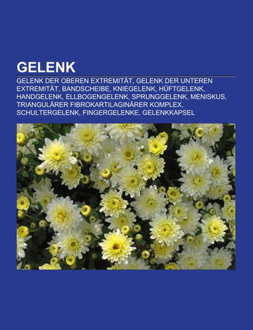Gelenk