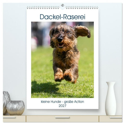 Dackel-Raserei (hochwertiger Premium Wandkalender 2027 DIN A2 hoch), Kunstdruck in Hochglanz