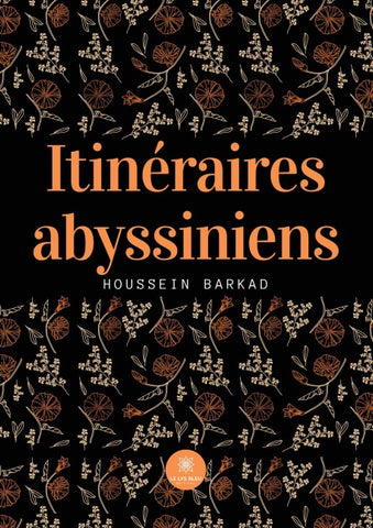 Itinéraires abyssiniens