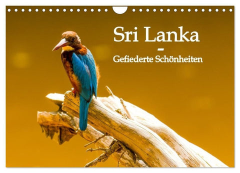 Sri Lanka - Gefiederte Schönheiten (Wandkalender 2027 DIN A4 quer), CALVENDO Monatskalender