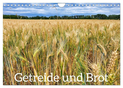 Getreide und Brot (Wandkalender 2027 DIN A4 quer), CALVENDO Monatskalender