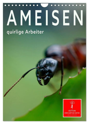 Ameisen quirlige Arbeiter (Wandkalender 2027 DIN A4 hoch), CALVENDO Monatskalender