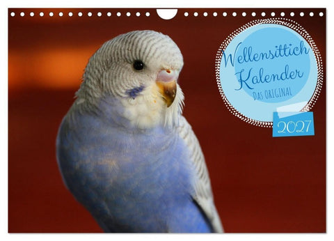 Wellensittichkalender! - Das Original (Wandkalender 2027 DIN A4 quer), CALVENDO Monatskalender