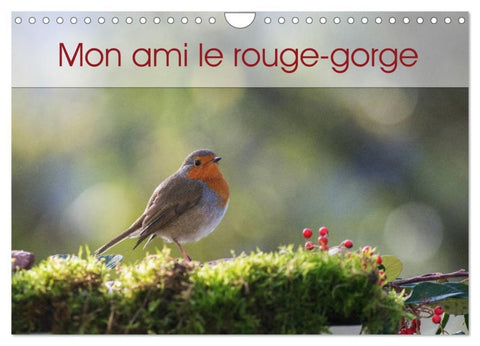Mon ami le rouge-gorge (Calendrier mural 2026 DIN A4 vertical), CALVENDO calendrier mensuel