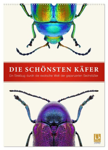 Die schönsten Käfer (Wandkalender 2026 DIN A2 hoch), CALVENDO Monatskalender