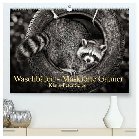 Waschbären - Maskierte Gauner (hochwertiger Premium Wandkalender 2027 DIN A2 quer), Kunstdruck in Hochglanz