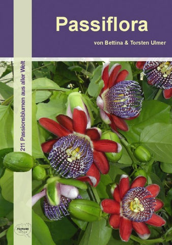 Passiflora