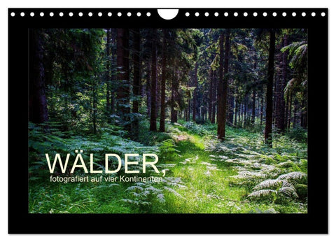 Wälder, fotografiert auf vier Kontinenten (Wandkalender 2027 DIN A4 quer), CALVENDO Monatskalender
