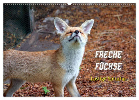 Freche Füchse - lustige Sprüche (Wandkalender 2026 DIN A2 quer), CALVENDO Monatskalender