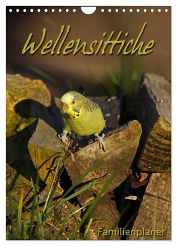Wellensittiche (Wandkalender 2027 DIN A4 hoch), CALVENDO Monatskalender