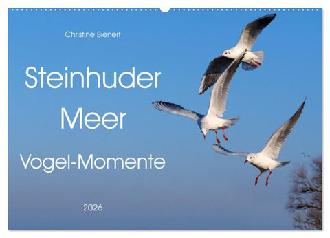 Steinhuder Meer, Vogel-Momente (Wandkalender 2026 DIN A2 quer), CALVENDO Monatskalender