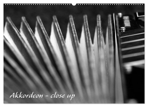 Akkordeon - close up (Wandkalender 2027 DIN A2 quer), CALVENDO Monatskalender
