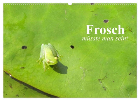 Frosch müsste man sein! (Wandkalender 2027 DIN A2 quer), CALVENDO Monatskalender