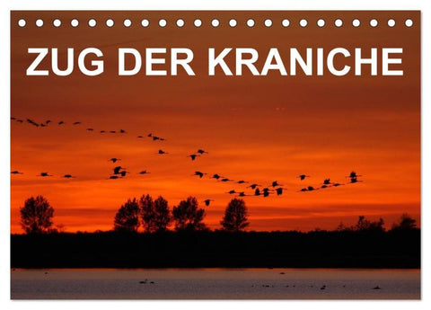 Zug der Kraniche (Tischkalender 2027 DIN A5 quer), CALVENDO Monatskalender