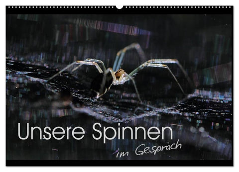 Unsere Spinnen - im Gespräch (Wandkalender 2026 DIN A2 quer), CALVENDO Monatskalender