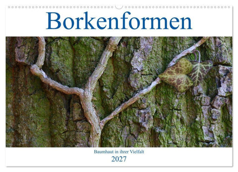 Borkenformen (Wandkalender 2027 DIN A2 quer), CALVENDO Monatskalender