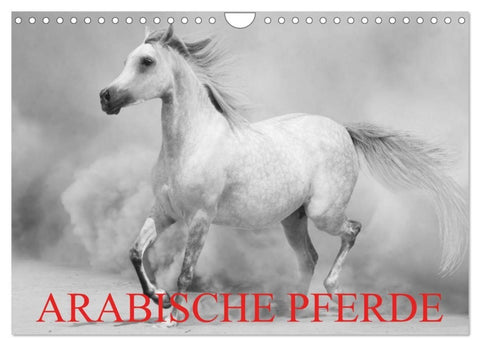Arabische Pferde (Wandkalender 2027 DIN A4 quer), CALVENDO Monatskalender