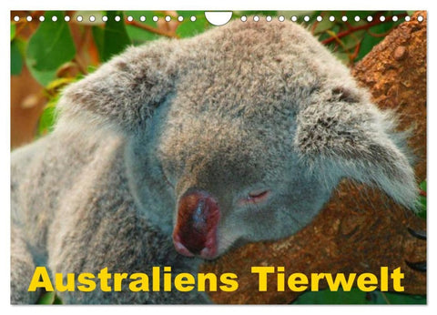 Australiens Tierwelt (Wandkalender 2026 DIN A4 quer), CALVENDO Monatskalender