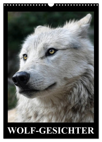 Wolf-Gesichter (Wandkalender 2026 DIN A3 hoch), CALVENDO Monatskalender
