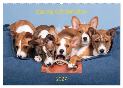 Basenji-Schönheiten (Wandkalender 2027 DIN A2 quer), CALVENDO Monatskalender