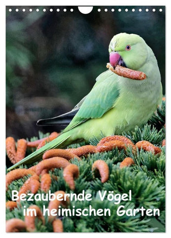 Bezaubernde Vögel im heimischen Garten (Wandkalender 2027 DIN A4 hoch), CALVENDO Monatskalender