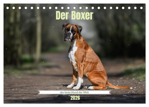 Der Boxer, der beste Hund der Welt (Tischkalender 2026 DIN A5 quer), CALVENDO Monatskalender