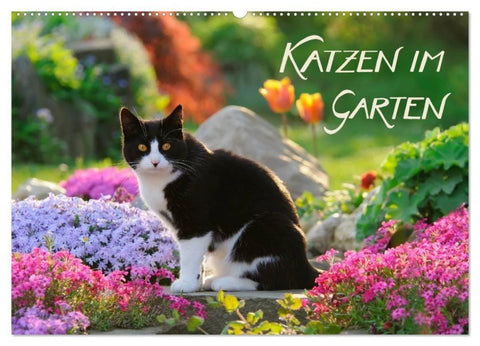 Katzen im Garten (Wandkalender 2027 DIN A2 quer), CALVENDO Monatskalender