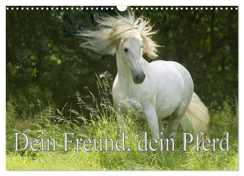 Dein Freund, dein Pferd (Wandkalender 2026 DIN A3 quer), CALVENDO Monatskalender