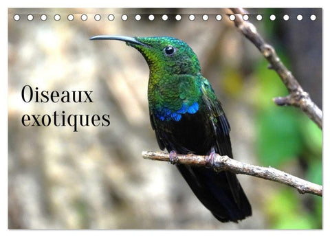 Oiseaux exotiques (Calendrier de bureau 2027 DIN A5 vertical), CALVENDO calendrier mensuel