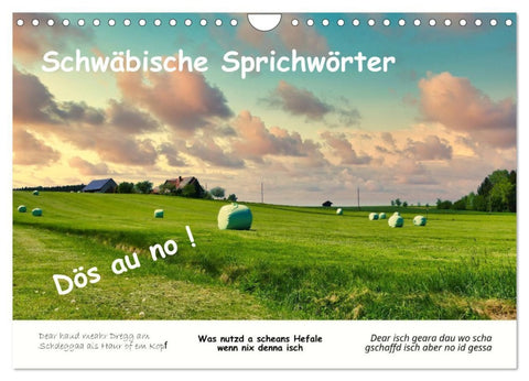 03 Schwäbische Sprichwörter - Dös au no! (Wandkalender 2026 DIN A4 quer), CALVENDO Monatskalender