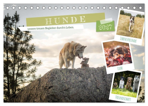 Hunde, unsere treuen Begleiter durch's Leben. (Tischkalender 2027 DIN A5 quer), CALVENDO Monatskalender