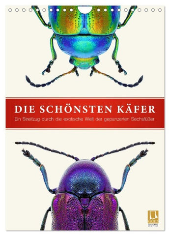 Die schönsten Käfer (Wandkalender 2027 DIN A4 hoch), CALVENDO Monatskalender