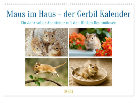 Maus im Haus - der Gerbil Kalender (Wandkalender 2026 DIN A2 quer), CALVENDO Monatskalender