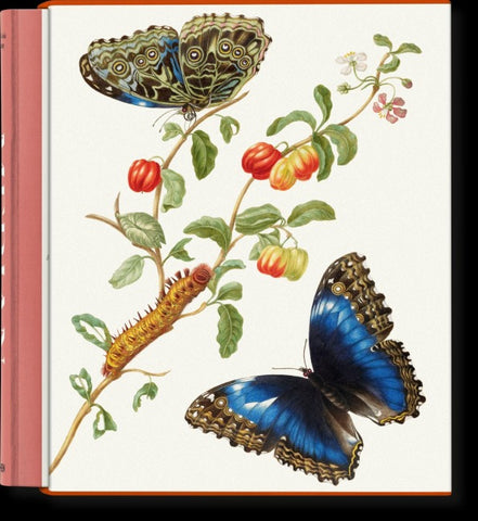 Merian