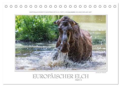 Emotionale Momente: Europäischer Elch Part II (Tischkalender 2027 DIN A5 quer), CALVENDO Monatskalender