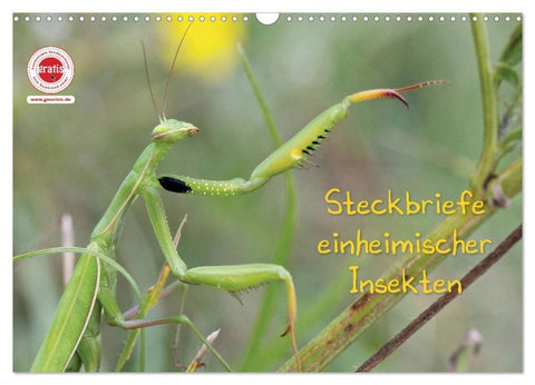 GEOclick Lernkalender: Insekten (Wandkalender 2027 DIN A3 quer), CALVENDO Monatskalender