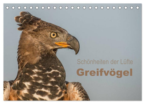 Schönheiten der Lüfte - Greifvögel (Tischkalender 2026 DIN A5 quer), CALVENDO Monatskalender