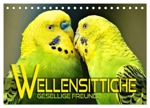 Wellensittiche - gesellige Freunde (Tischkalender 2027 DIN A5 quer), CALVENDO Monatskalender