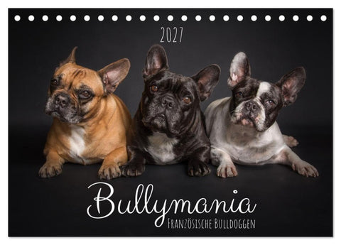 Bullymania - Französische Bulldoggen (Tischkalender 2027 DIN A5 quer), CALVENDO Monatskalender