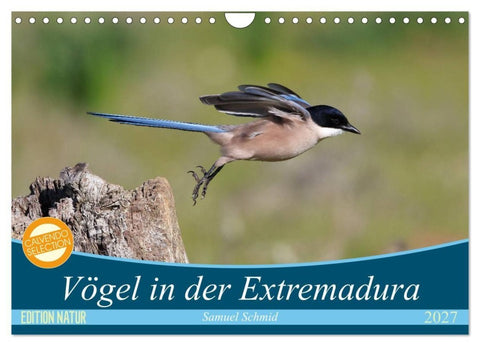 Vögel in der Extremadura (Wandkalender 2027 DIN A4 quer), CALVENDO Monatskalender