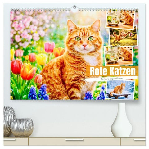 Rote Katzen (hochwertiger Premium Wandkalender 2027 DIN A2 quer), Kunstdruck in Hochglanz