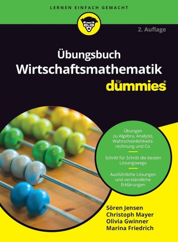 Übungsbuch Wirtschaftsmathematik für Dummies