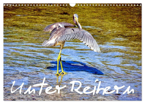 Unter Reihern (Wandkalender 2026 DIN A3 quer), CALVENDO Monatskalender